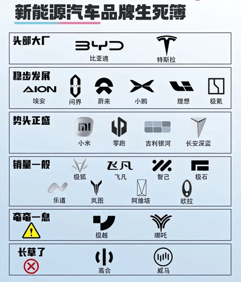 新能原汽车品牌生死簿